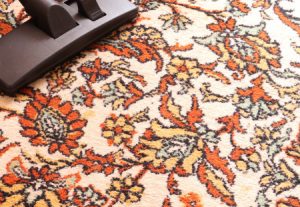 Driganic Carpet Cleaning Services in Springfield PA
