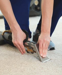 Driganic Carpet Cleaning Services in Springfield PA,