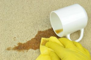 Driganic Carpet Cleaning Services in Springfield PA,